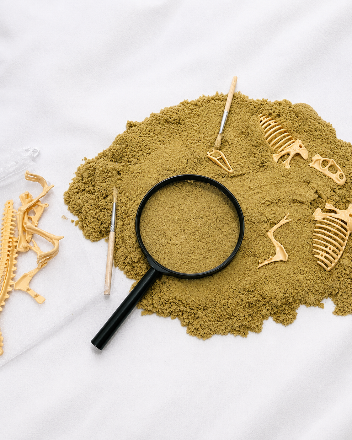 Dinosaur Fossil Kit