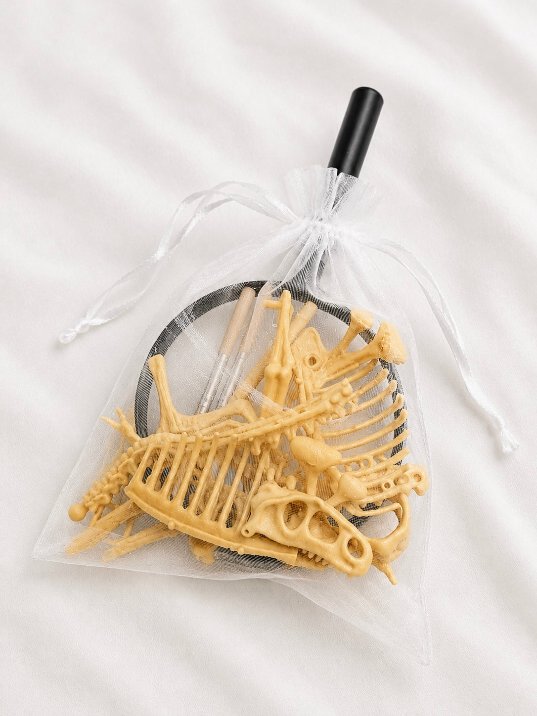 Dinosaur Fossil Kit