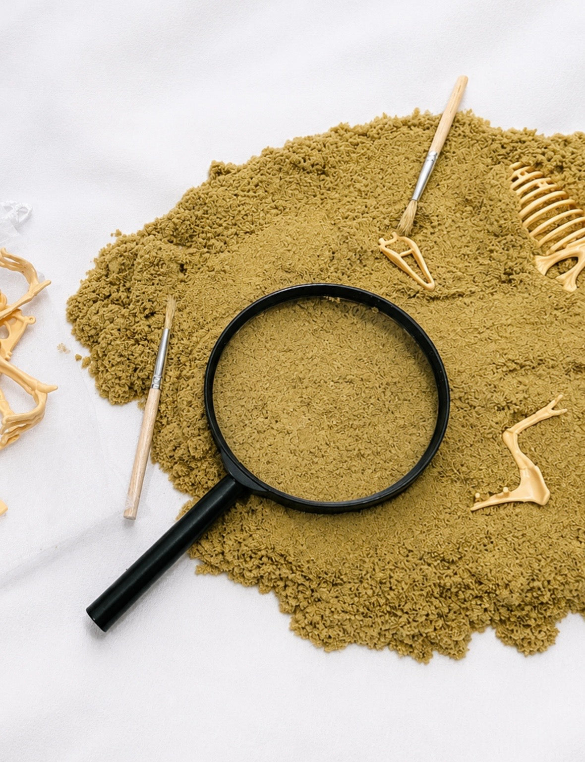 Dinosaur Fossil Kit