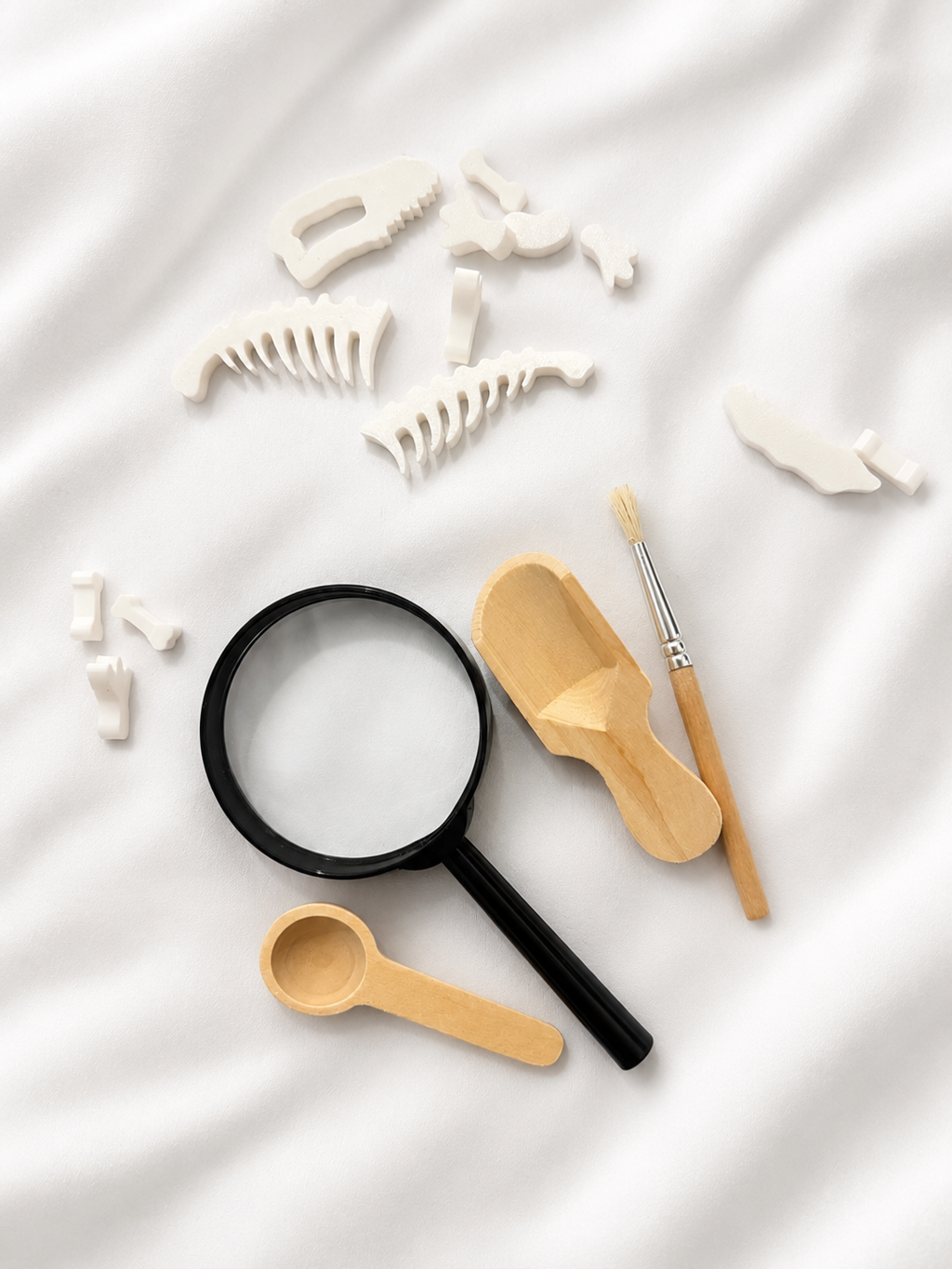 Fossil Find Kit