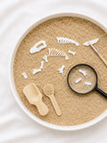 Fossil Find Kit