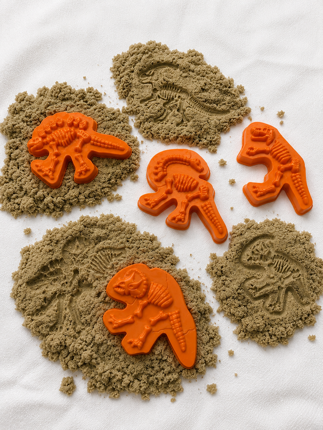Dinosaur Mould Set