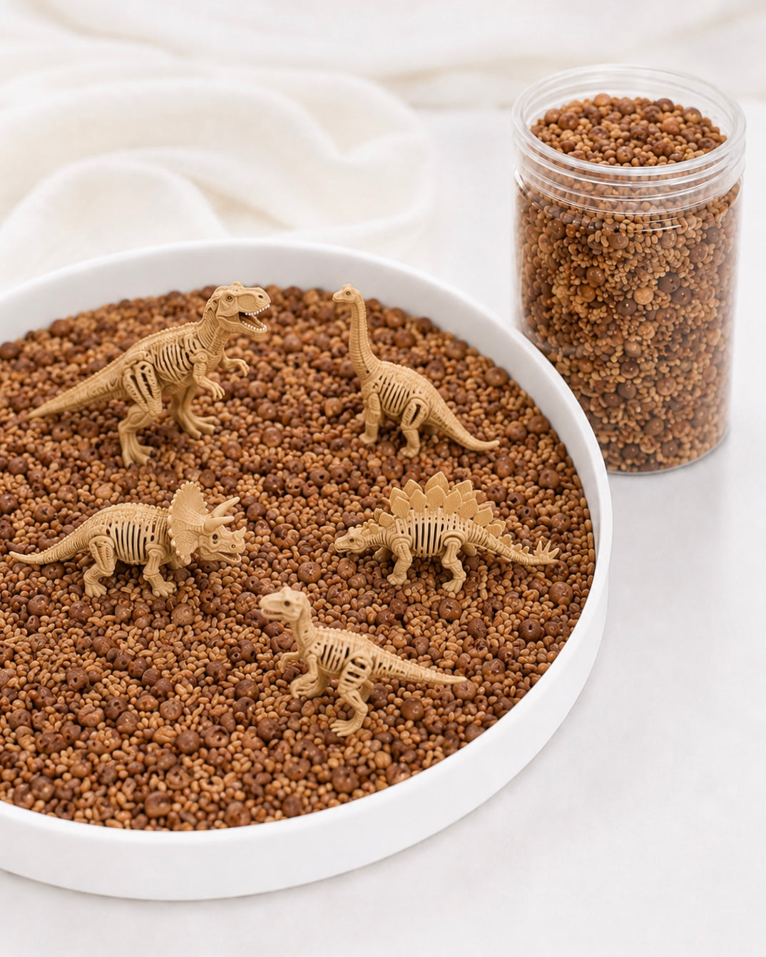 Fossil Finds